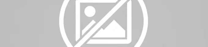 Reh4Mat -BodyMap